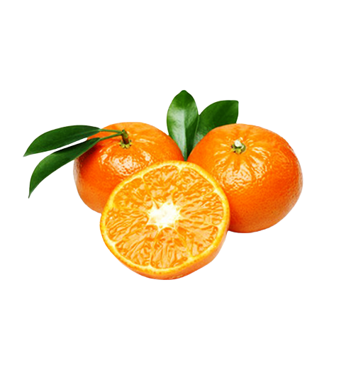 Orange | संत्र