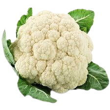 Cauliflower | फुलकोबी
