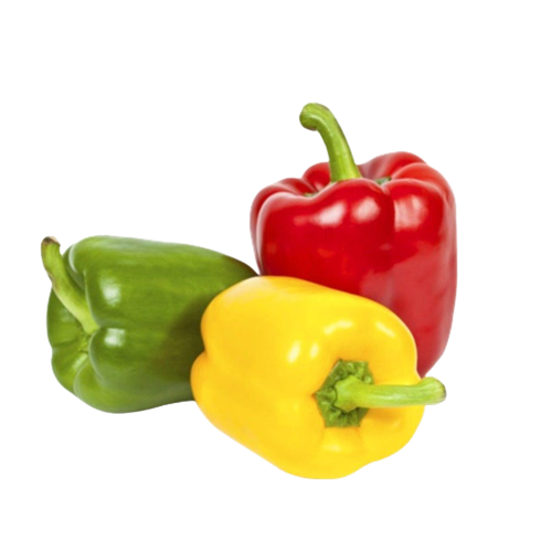 Capsicum Mixed | मिक्सइड सिमला मिर्ची