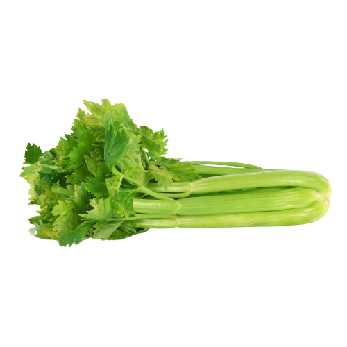 Celery | सेलरी