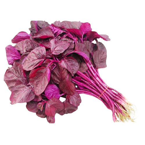 Amaranth Red Leave | लाल माठ