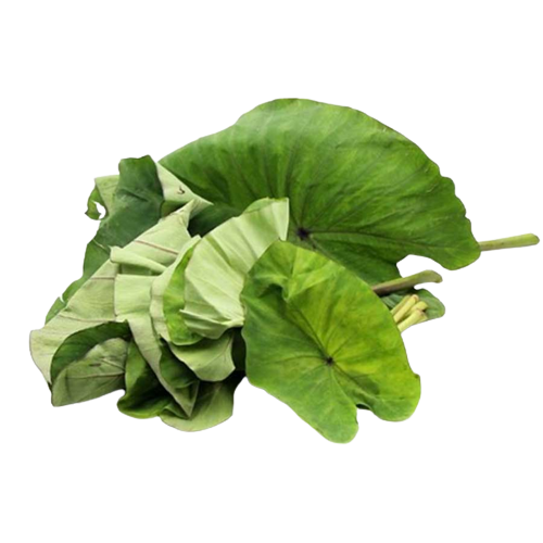 Colocasia Leaves | अळूची पाने