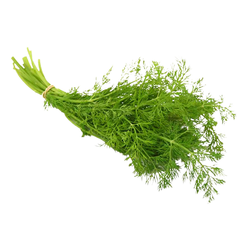 Dil Leaves | शेपू