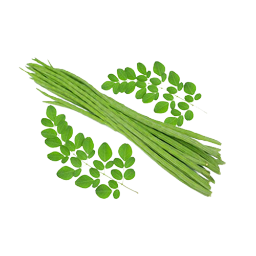 Drumstick | शेवगा