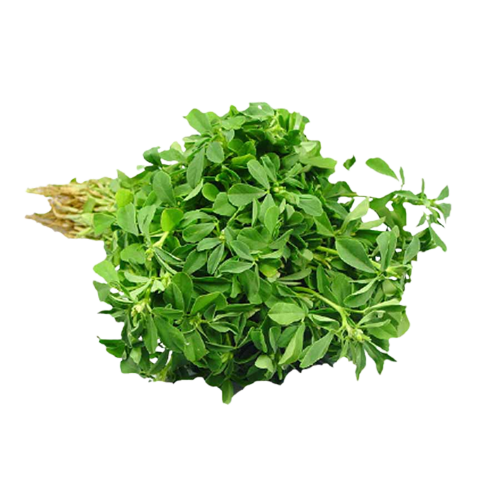 Fenugreek | मेथी