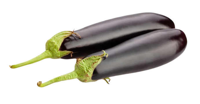 Long Brinjal | लंबा बैंगन