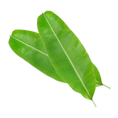 Banana Leaf | केले पत्ता