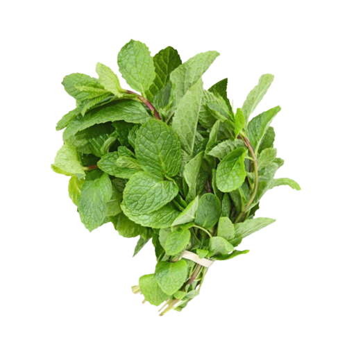 Mint | पुदीना