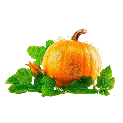 Pumpkin | लाल भोपळा