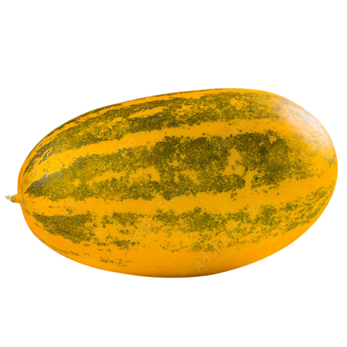 Madras Cucumber | मद्रास ककड़ी