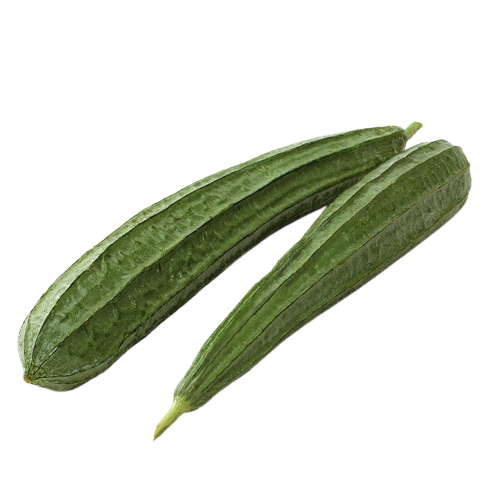 Ridge Gourd | दोडका