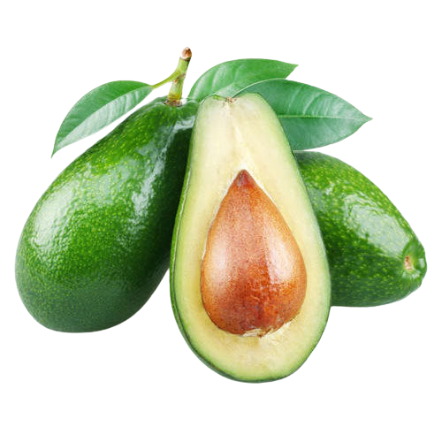 Avocado | आवोकाडो