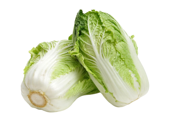Chinese Cabbage | चीनी गोभी