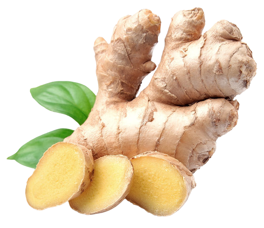 Ginger | आले