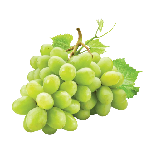 Green Grapes | द्राक्ष
