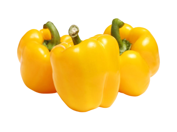 Capsicum Yellow | पीली शिमला मिर्च
