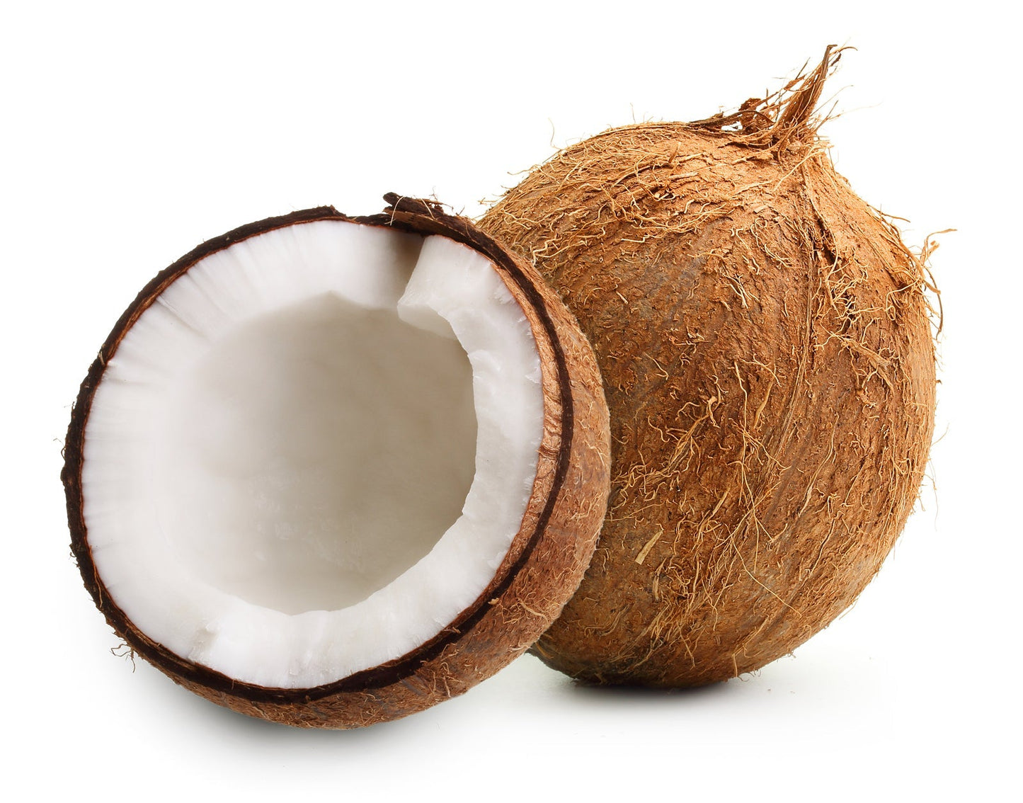 Coconut | नारळ