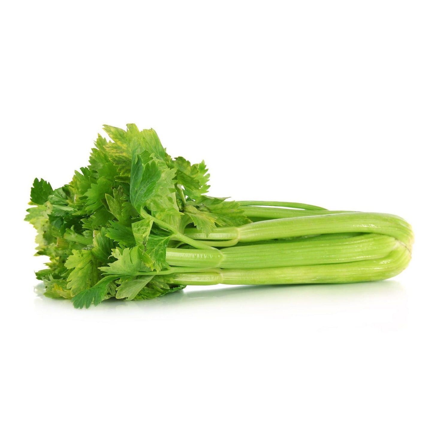 Celery | सेलरी