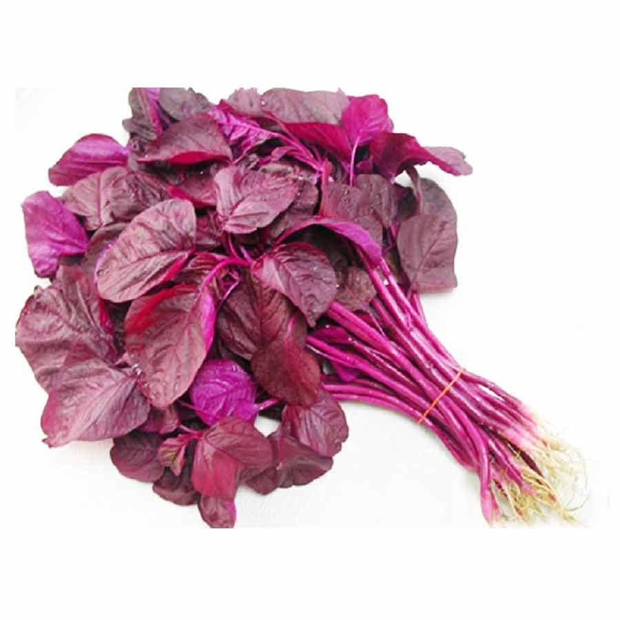 Amaranth Red Leave | लाल माठ