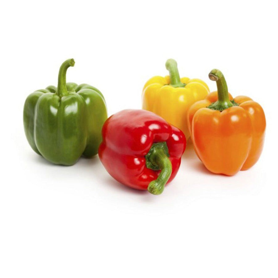 Capsicum Mixed | मिक्सइड सिमला मिर्ची