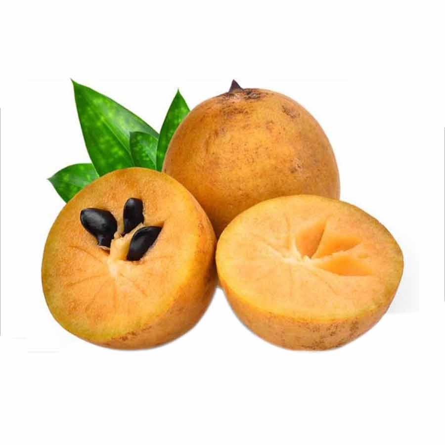 Sapodilla | चिकू