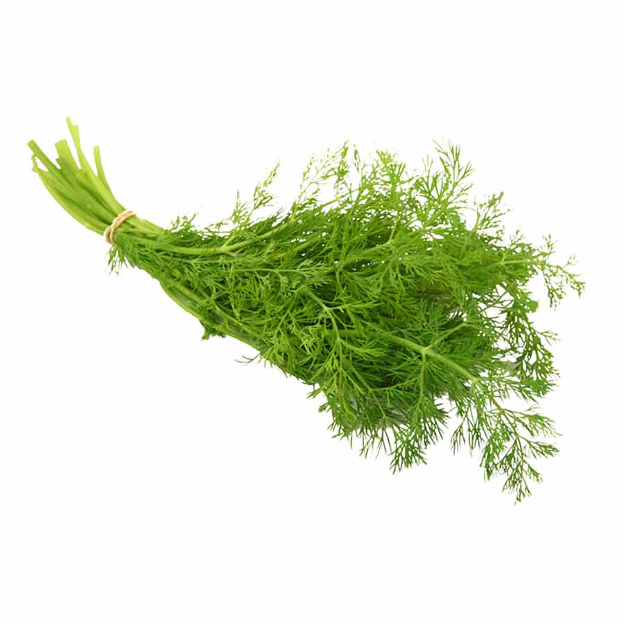 Dil Leaves | शेपू