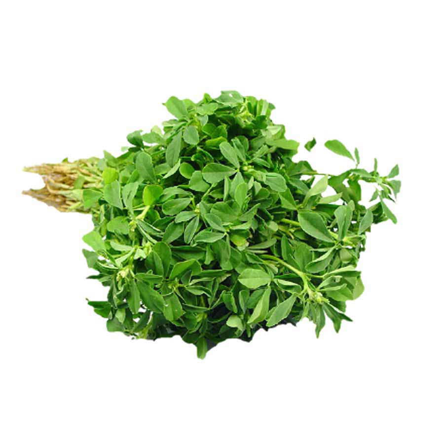 Fenugreek | मेथी