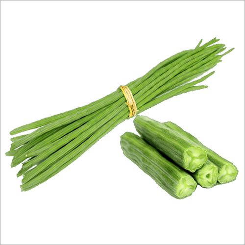 Drumstick | शेवगा