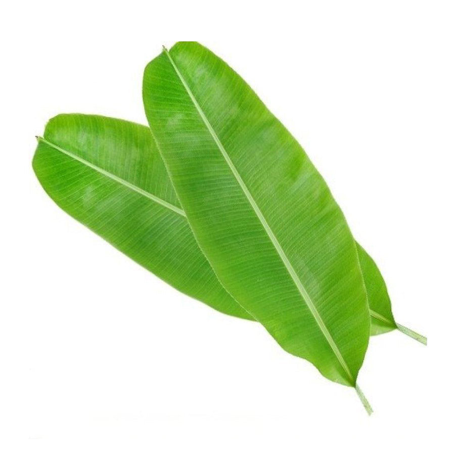 Banana Leaf | केले पत्ता