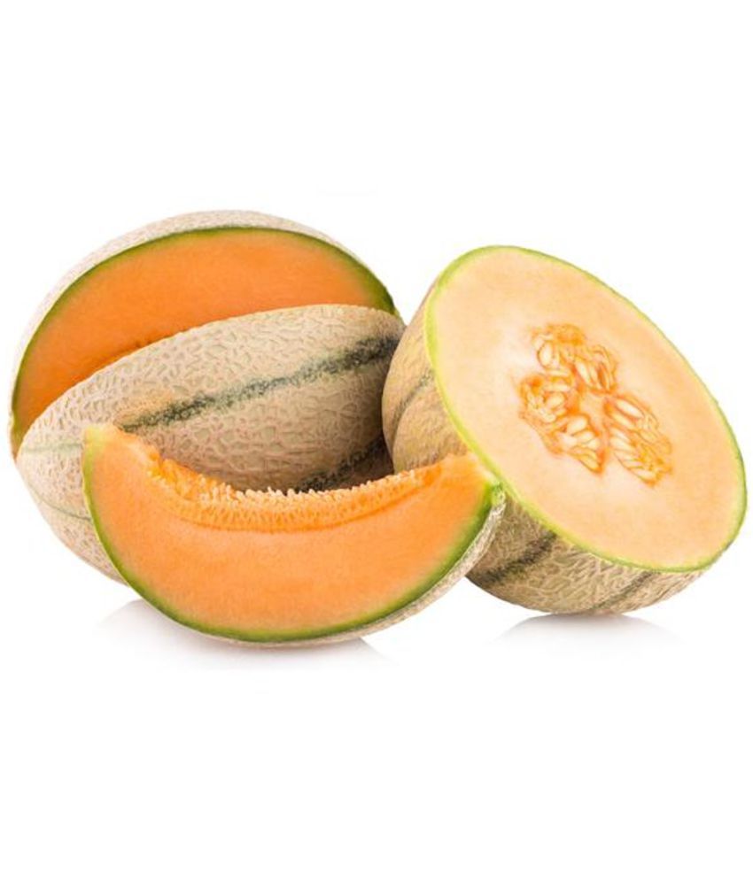 Muskmelon | खरबूज