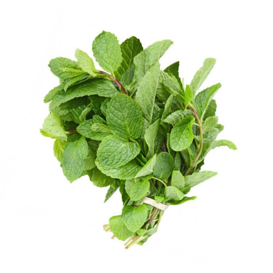Mint | पुदीना