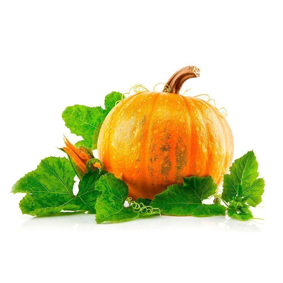 Pumpkin | लाल भोपळा