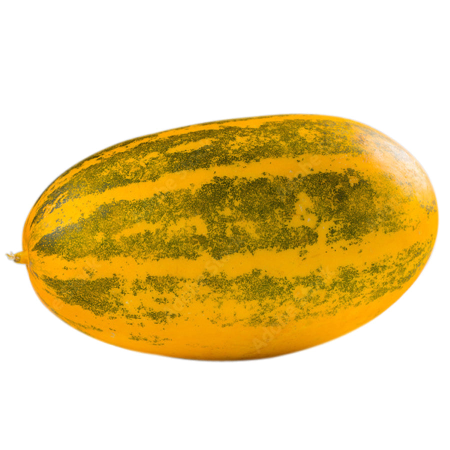 Madras Cucumber | मद्रास ककड़ी