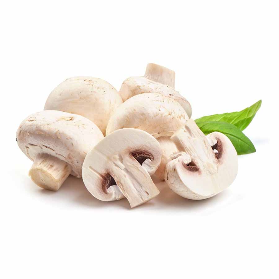 Mushroom | मशरूम