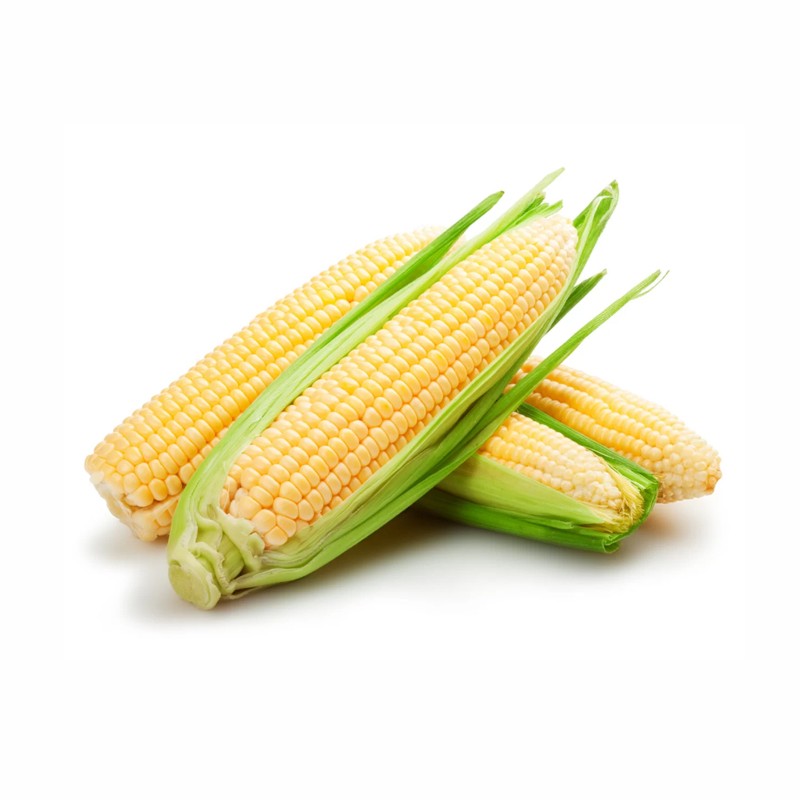 Corn | मका