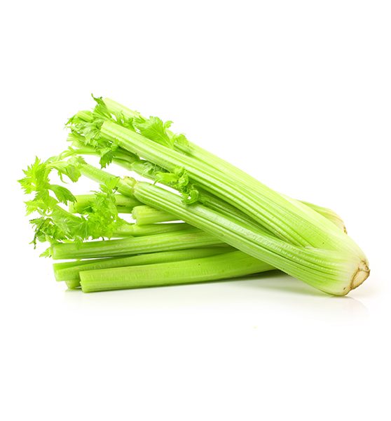 Celery | सेलरी