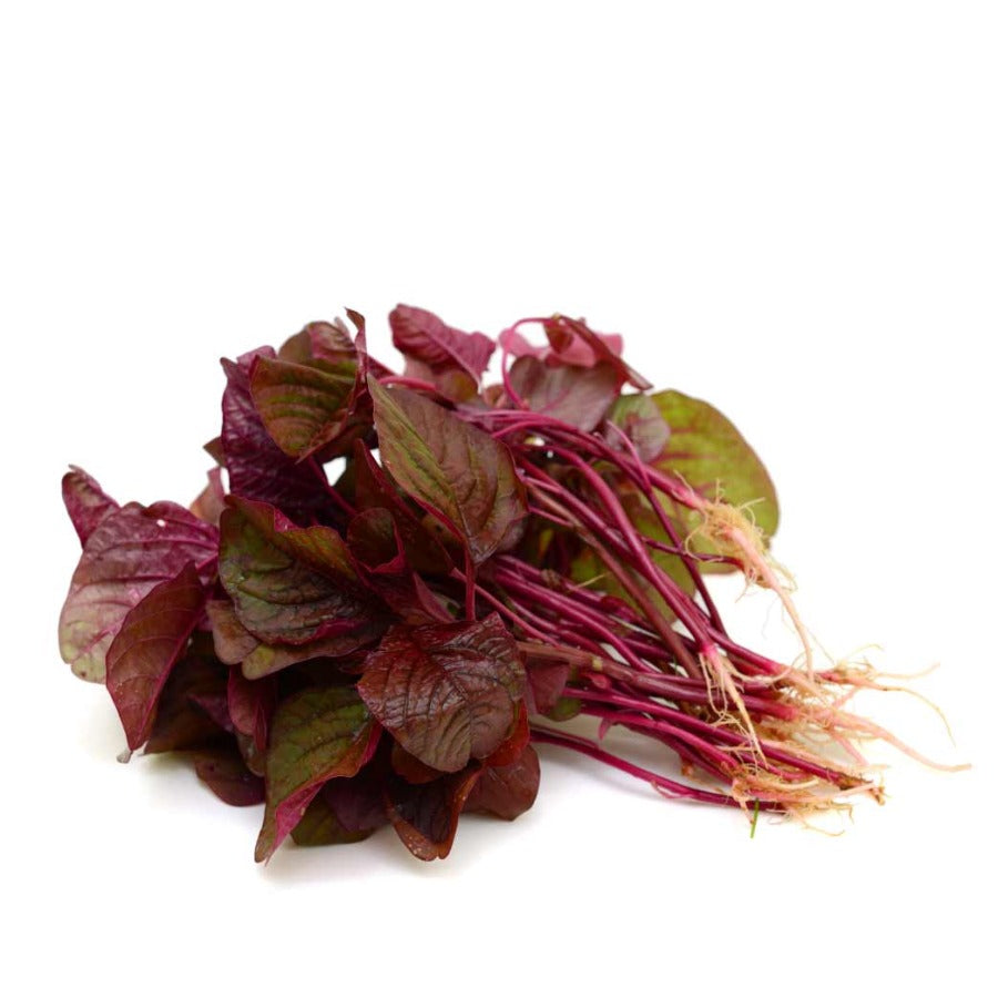 Amaranth Red Leave | लाल माठ