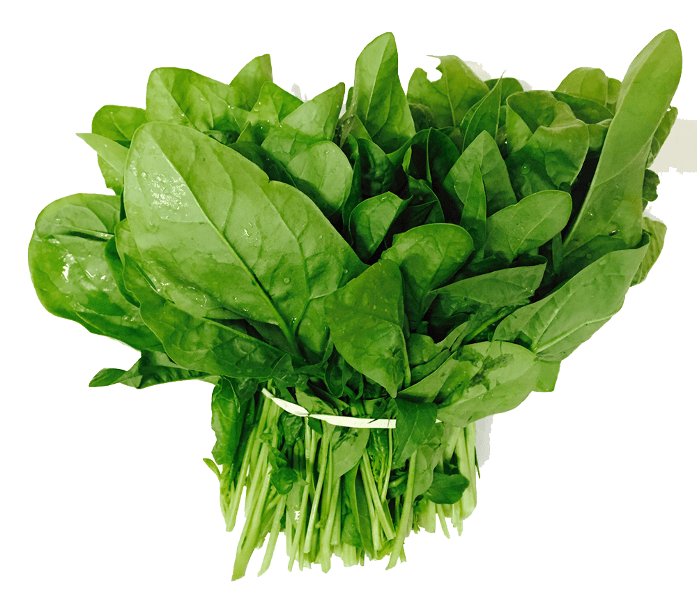 Spinach | पालक