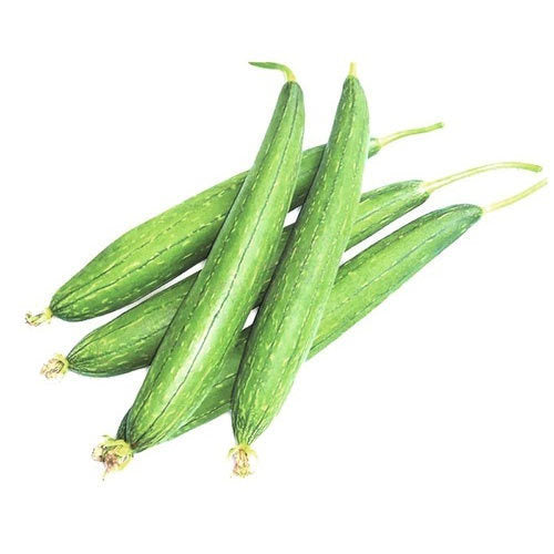 Sponge Gourd | घोसाळे