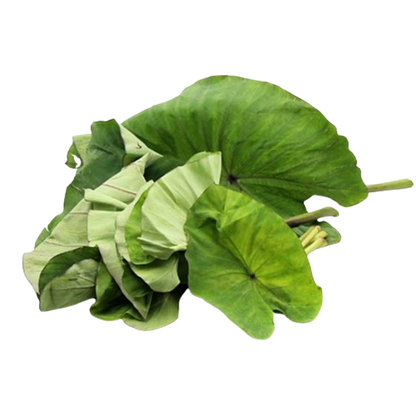 Colocasia Leaves | अळूची पाने