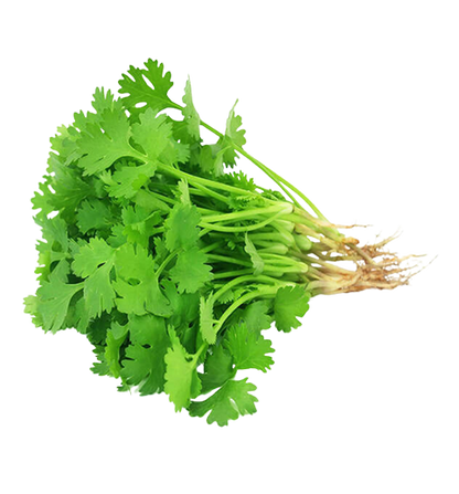Coriander | कोथिंबीर