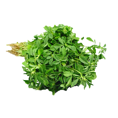Fenugreek | मेथी