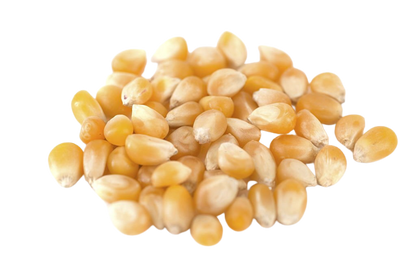 Sweet Corn Peeled | छिली हुई स्वीट कॉर्न