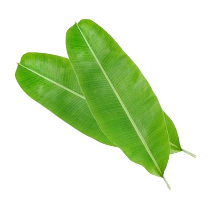 Banana Leaf | केले पत्ता