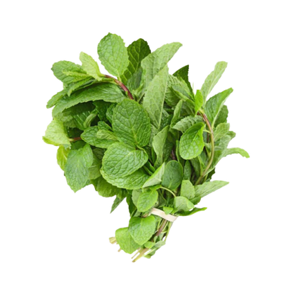 Mint | पुदीना
