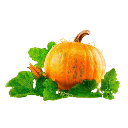 Pumpkin | लाल भोपळा
