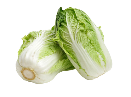 Chinese Cabbage | चीनी गोभी
