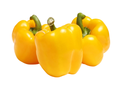 Capsicum Yellow | पीली शिमला मिर्च