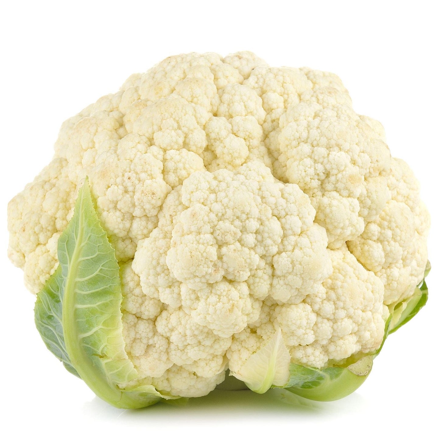 Cauliflower | फुलकोबी