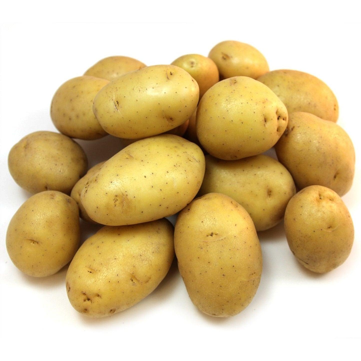 Potato | बटाटा
